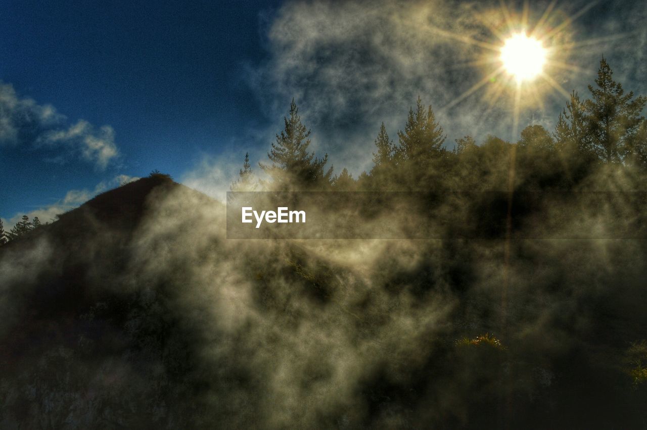 Low angle view of smoke and trees on mountain in sunny day