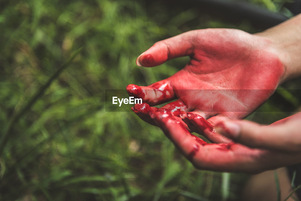 Cropped image of hands covered blood