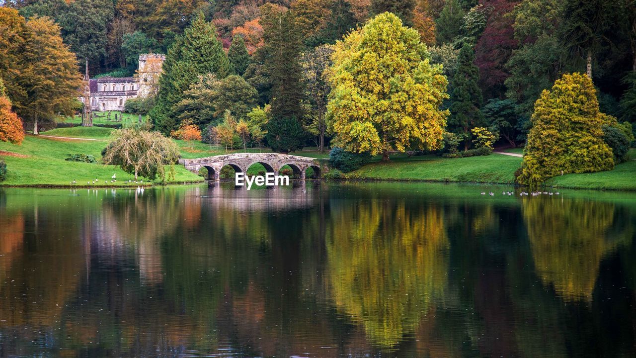 TREES BY LAKE DURING AUTUMN