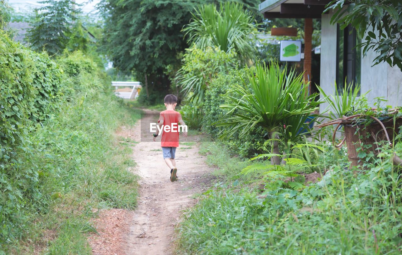 FULL LENGTH OF GIRL WALKING ON FOOTPATH AMIDST TREES