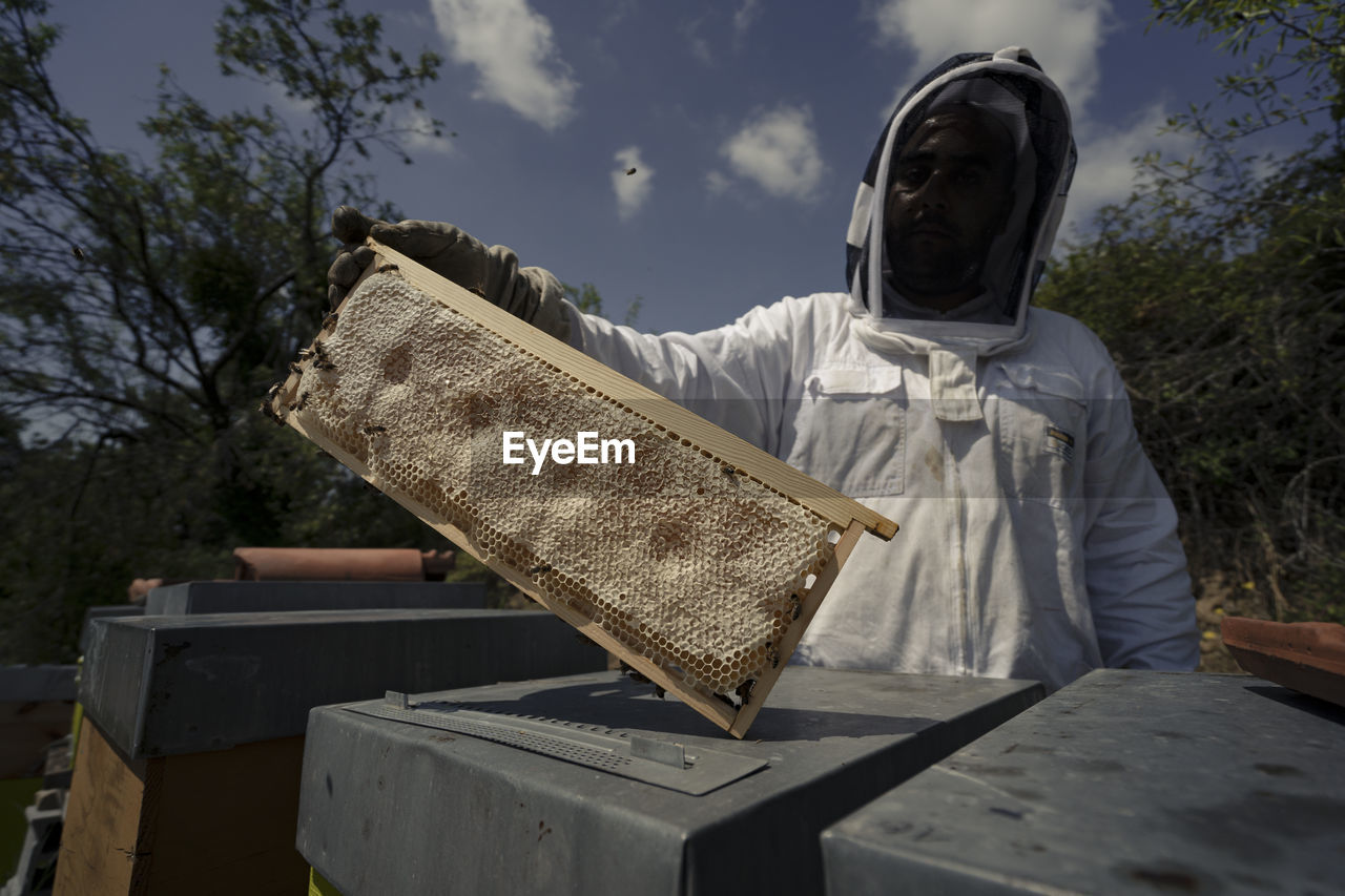 A beekeeper is holding a frame full of honey in front of him