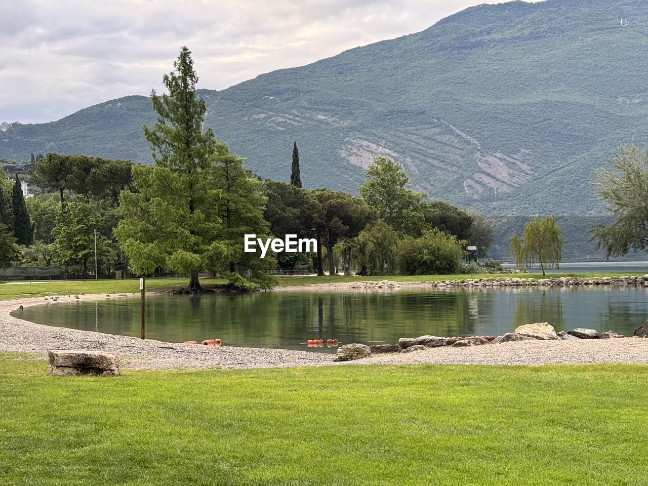 reflection, water, nature, lake, plant, no people, reservoir, day, beauty in nature, tranquility, tree, green, outdoors, waterfront, scenics - nature, tranquil scene, environment, landscape, standing water