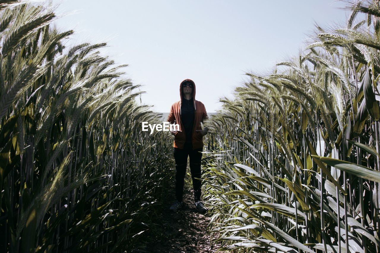 Man wearing hooded shirt while standing amidst cereal plant against sky at farm