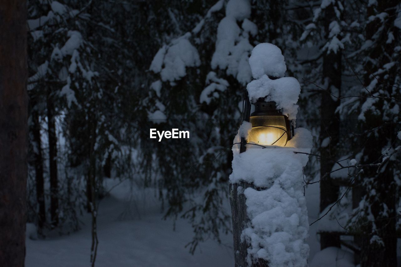 Snow covered lantern at night