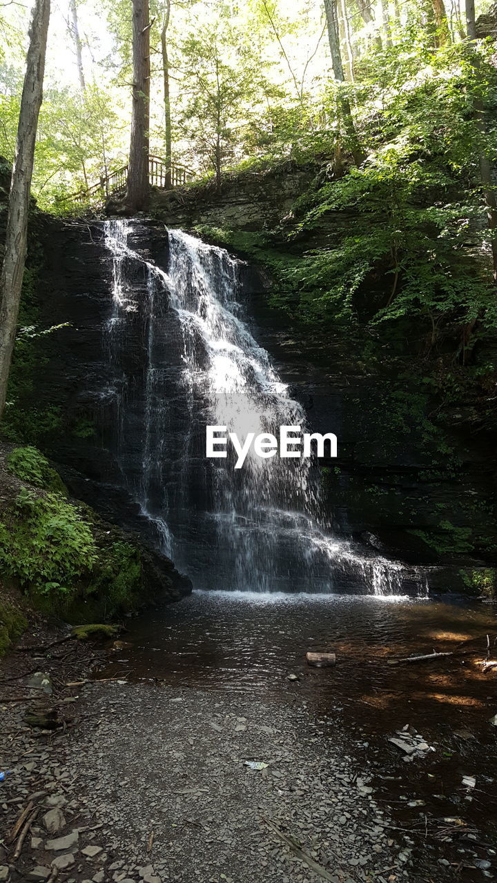 SCENIC VIEW OF WATERFALL IN FOREST