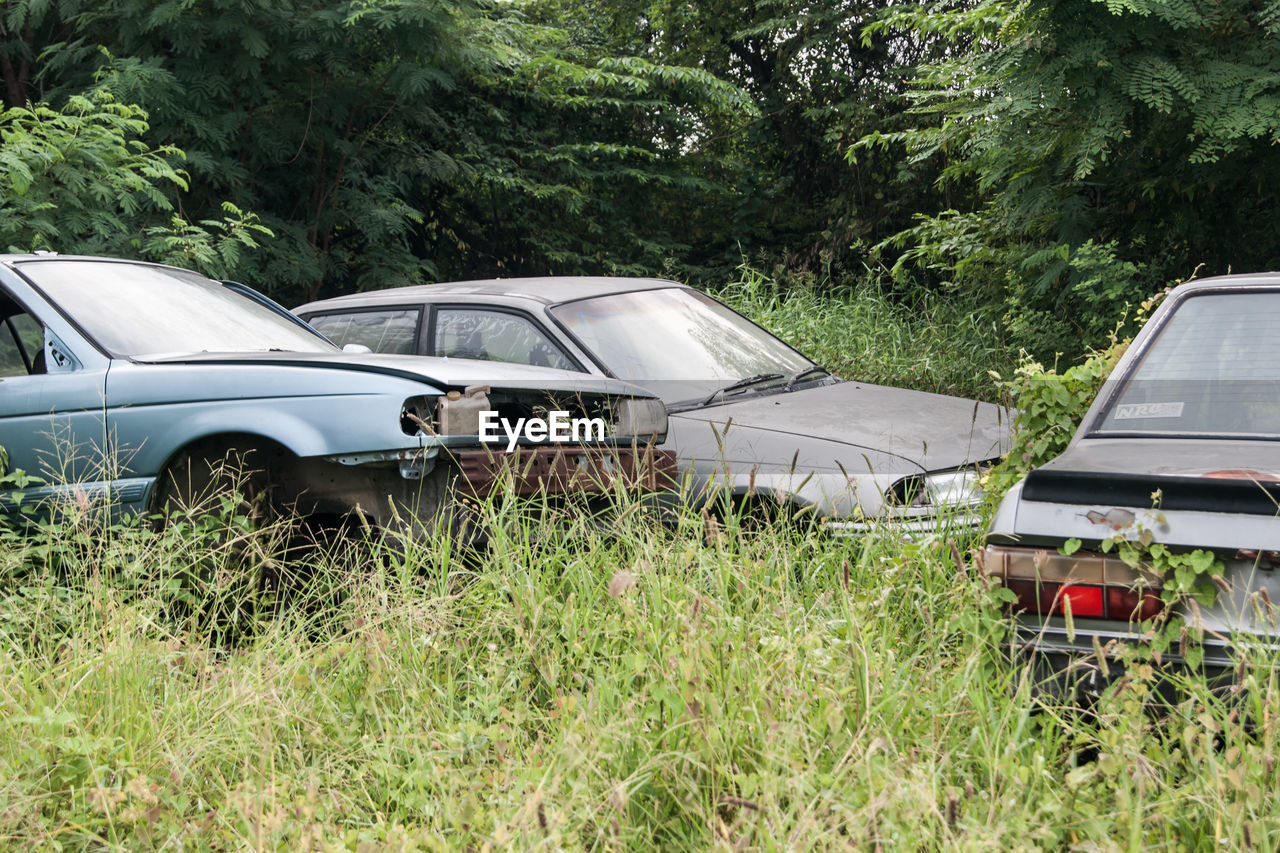 CAR IN YARD