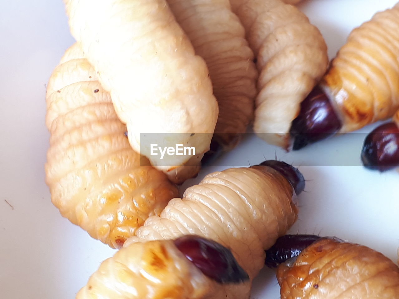 HIGH ANGLE VIEW OF MEAL