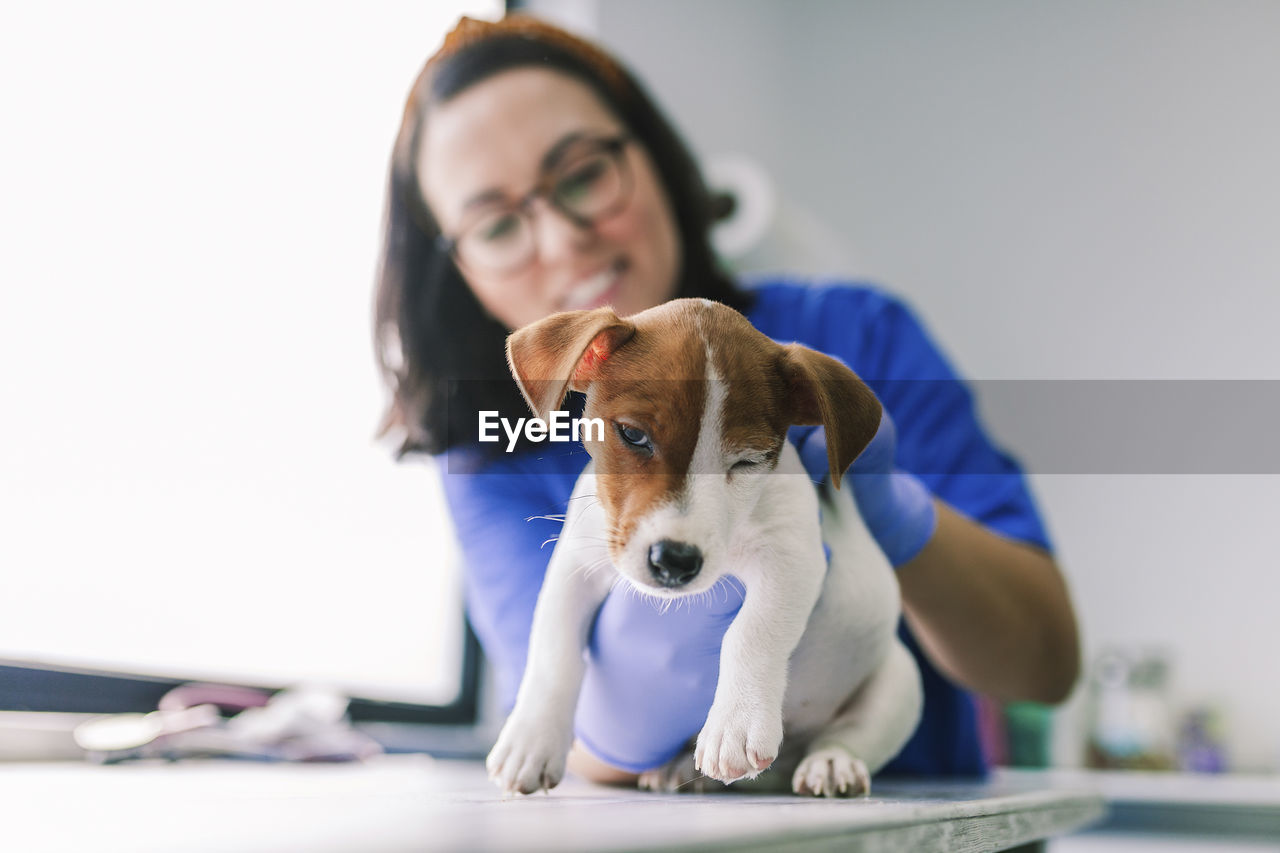 Veterinary with a dog for a review in the clinic