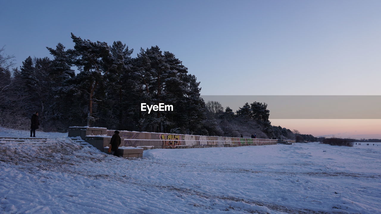 TREES ON SNOW COVERED LANDSCAPE