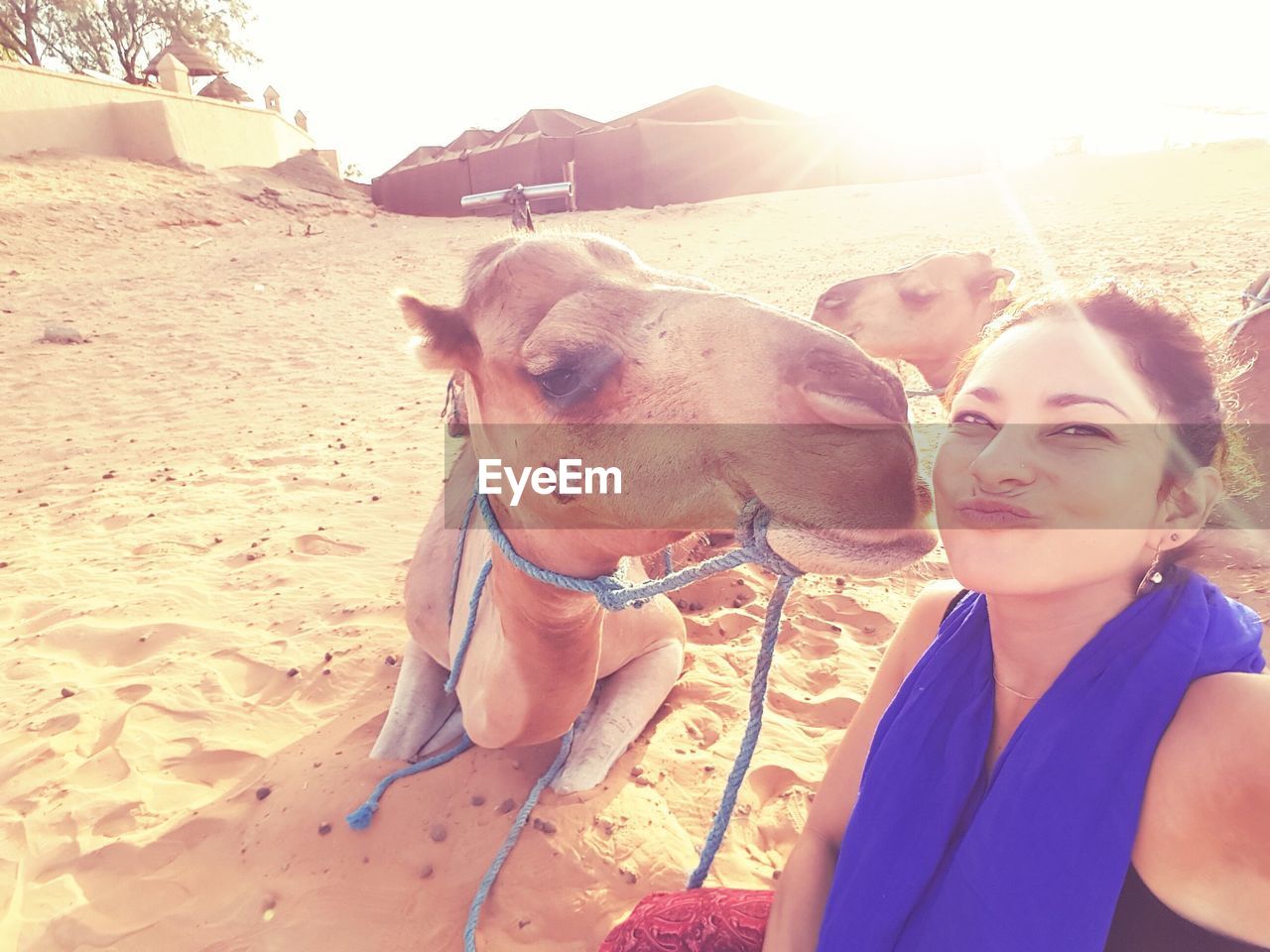 Young woman with camel on desert