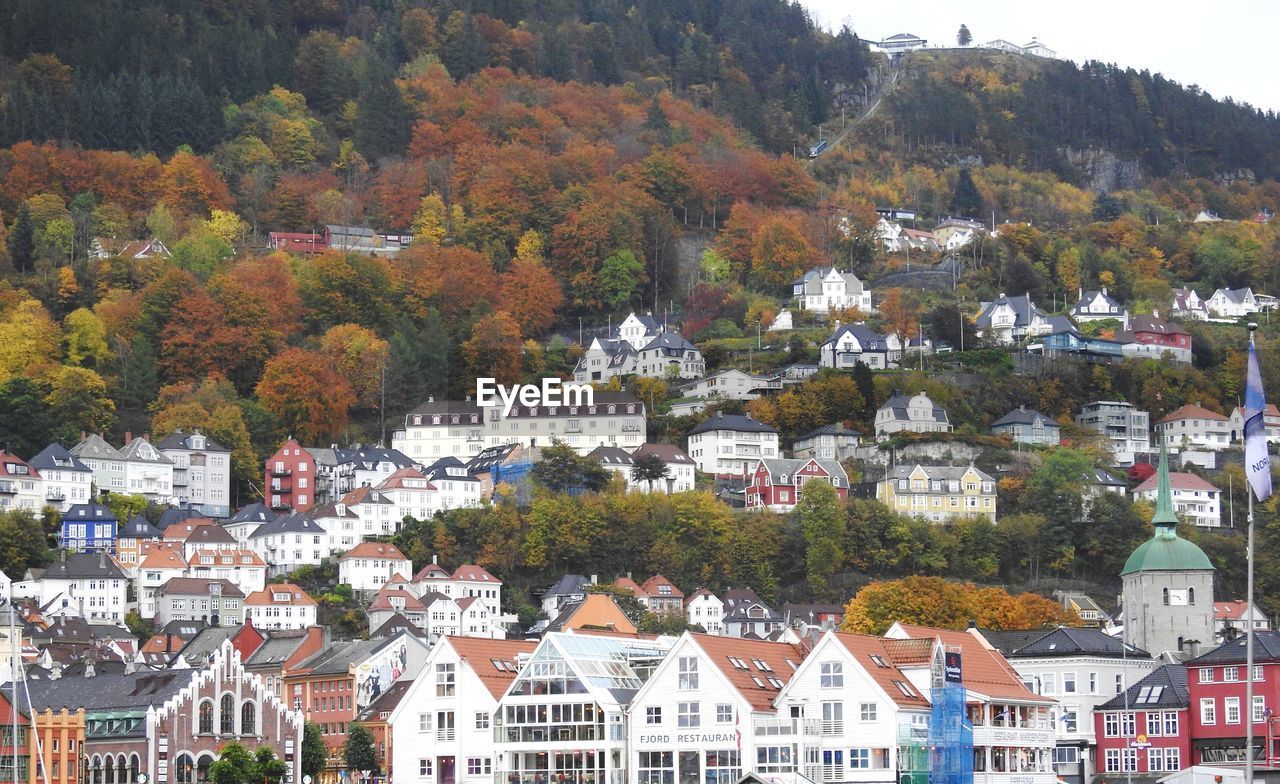 HOUSES AND TREES IN CITY