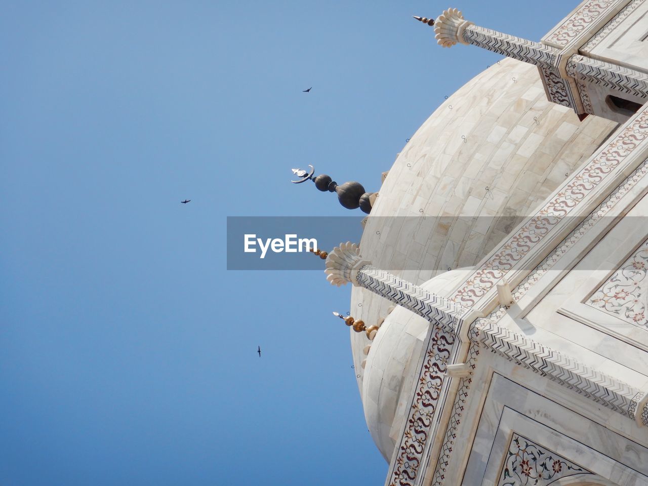 Low angle view of taj mahal against blue sky with birds flying 