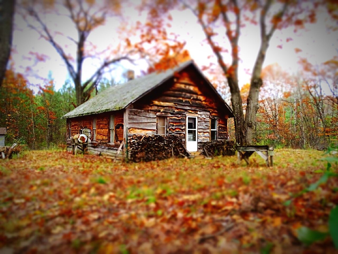 Tilt-shift image of log cabin during autumn