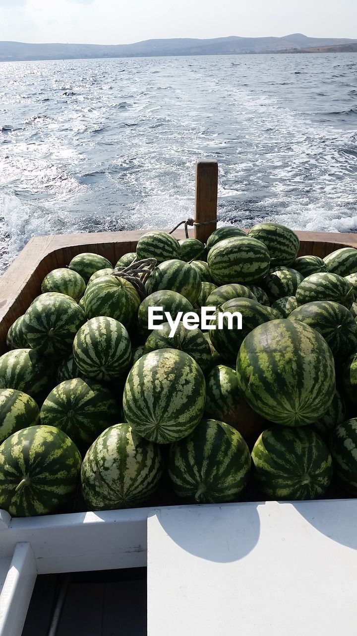 Close-up of vegetables on beach against sky