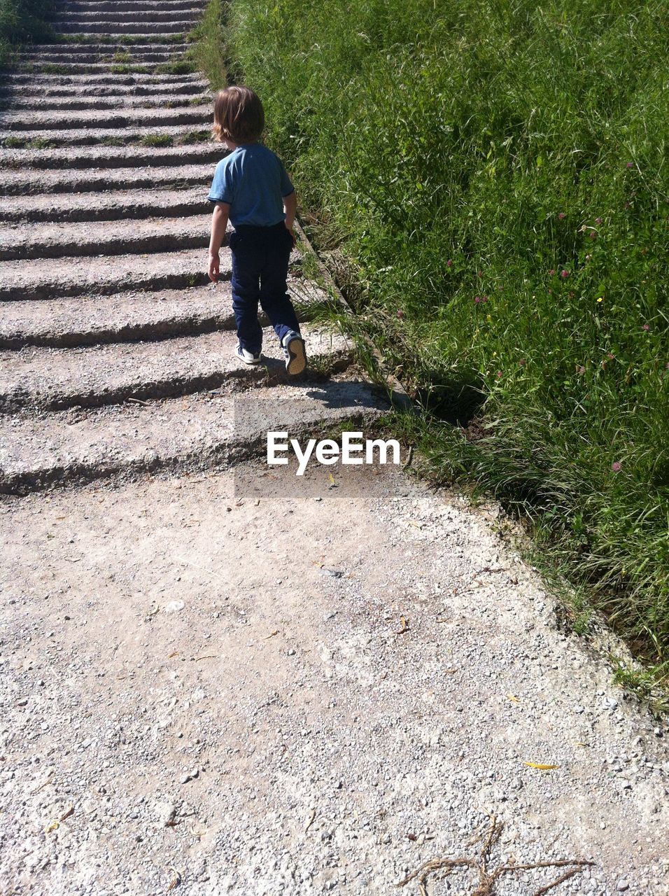 Rear view of boy walking on staircase