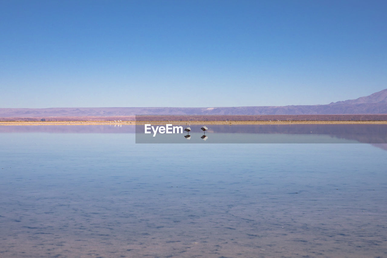 SCENIC VIEW OF LAKE AGAINST BLUE SKY