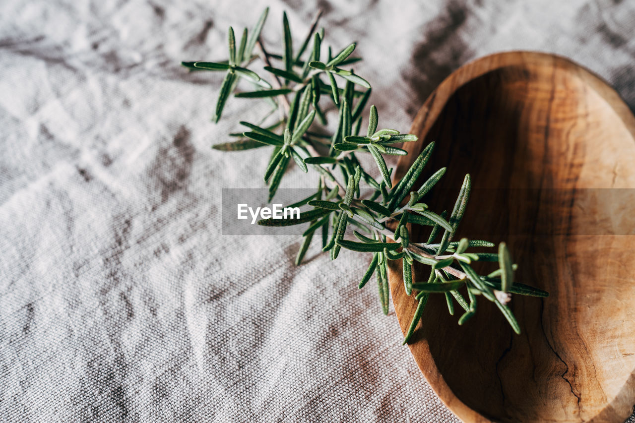 Rosemary in wooden bowl on towel