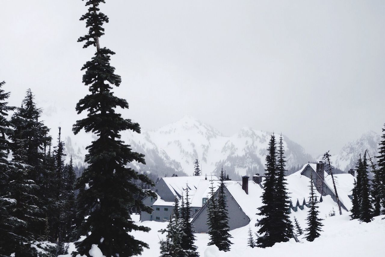 Scenic view of snow covered mountains