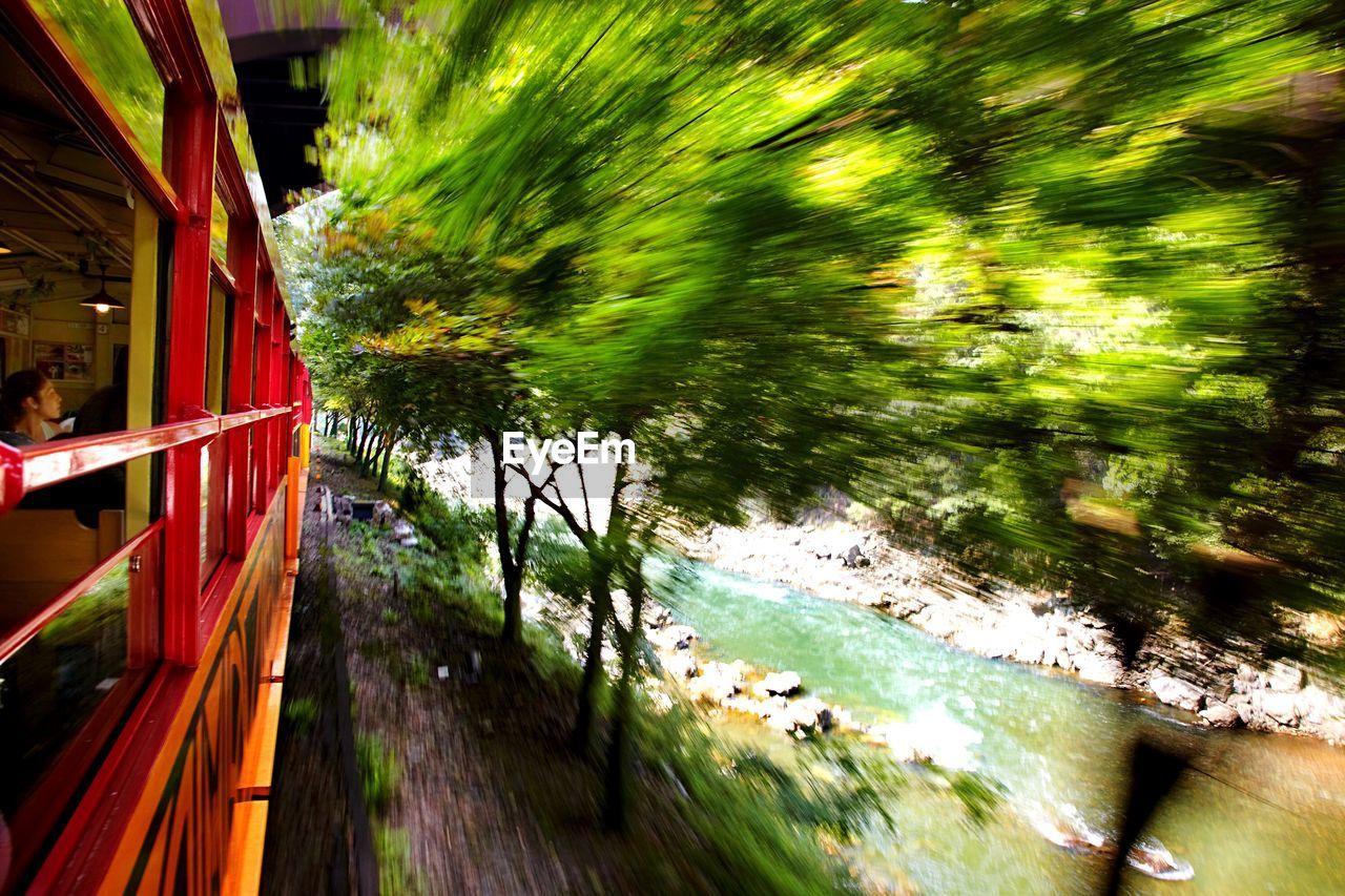 Blurred motion of trees by moving train