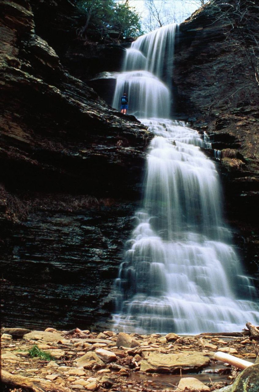 WATERFALL IN FOREST