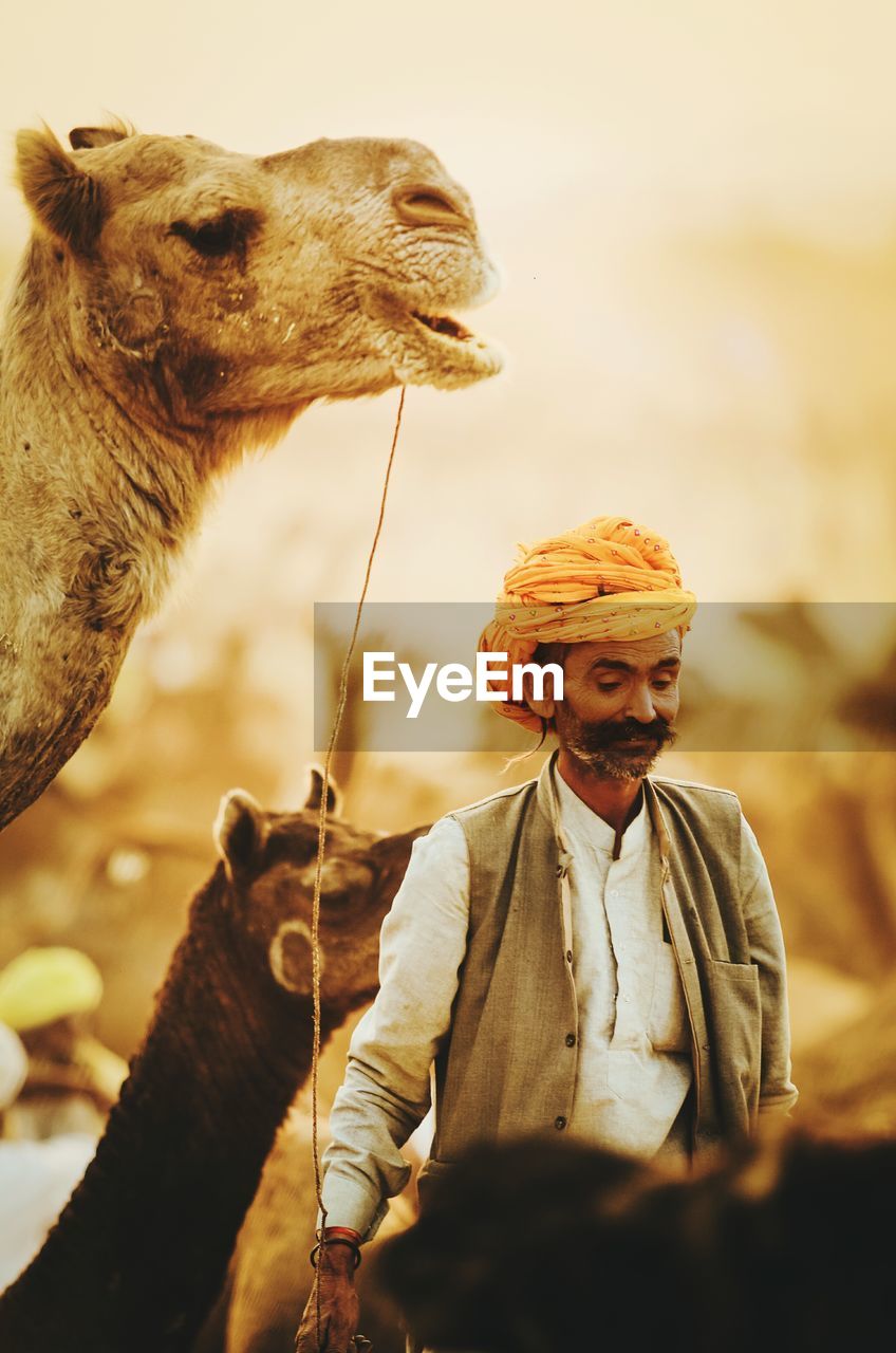 Man wearing turban while standing by camels