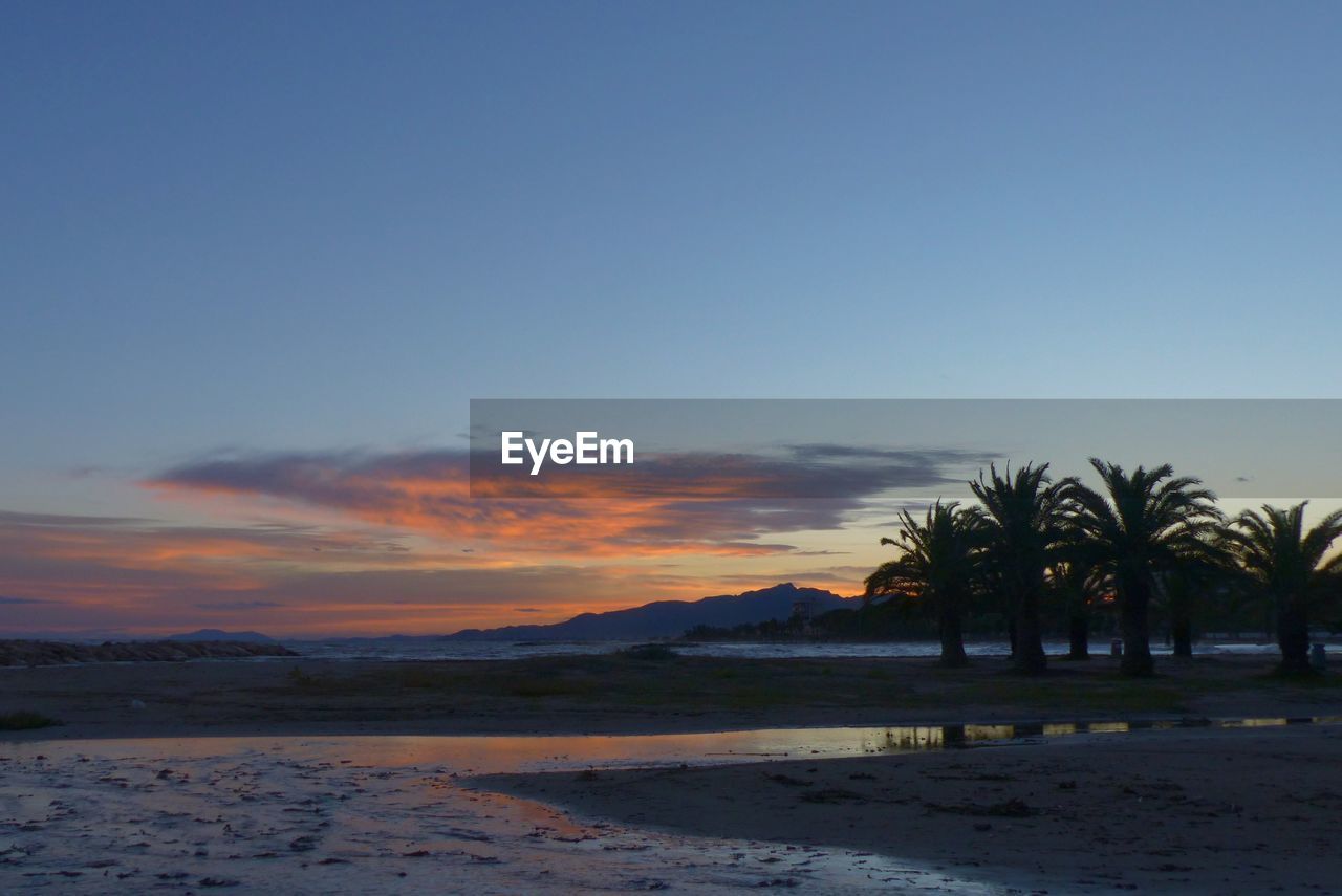 SCENIC VIEW OF PALM TREES ON BEACH AGAINST SKY