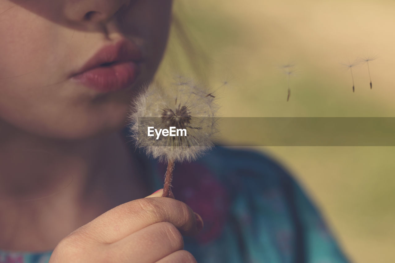 Close-up of girl blowing dandelion flower