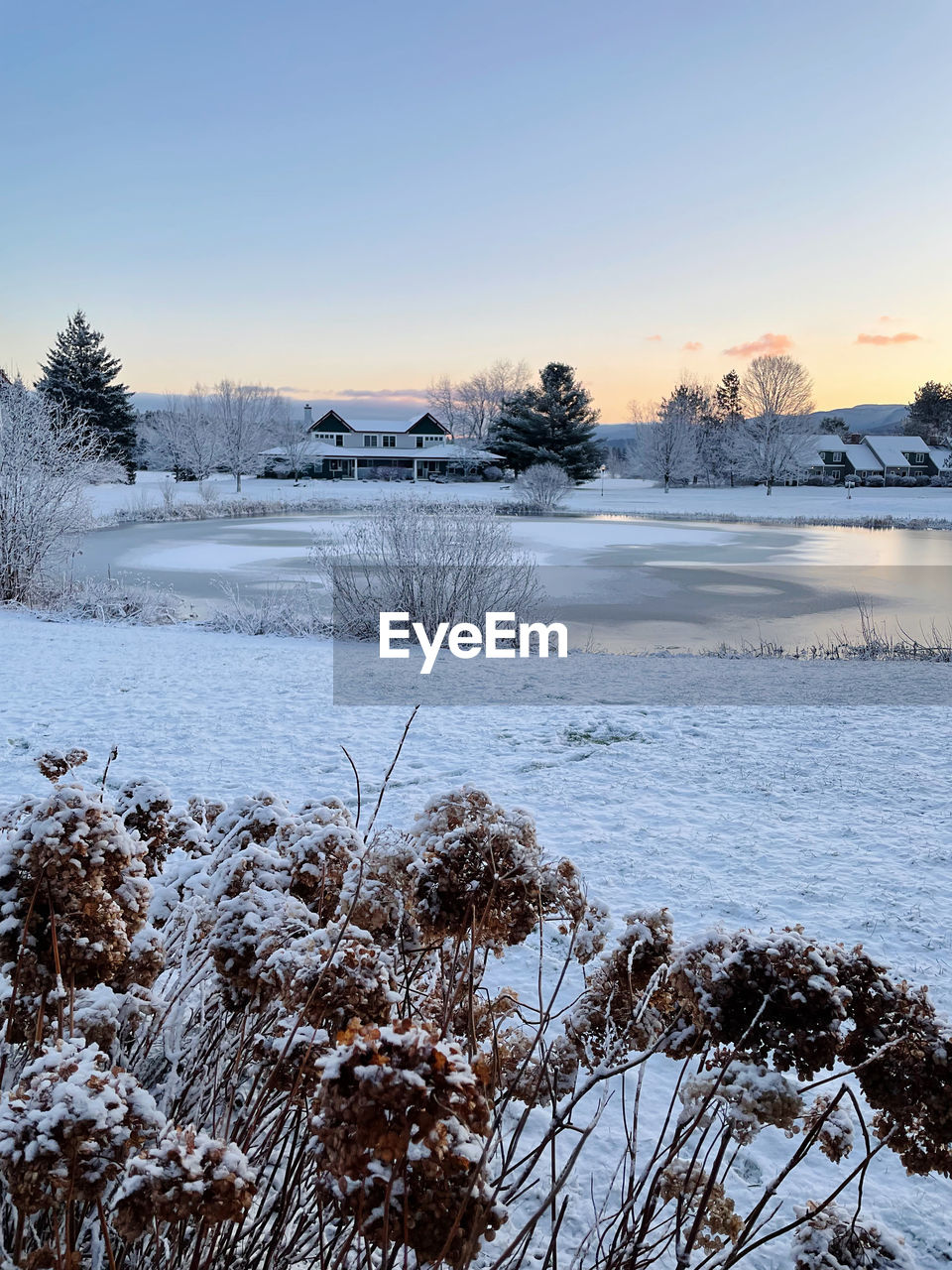 winter, snow, cold temperature, scenics - nature, sky, environment, landscape, nature, ice, tree, frozen, beauty in nature, plant, freezing, frost, water, tranquility, tranquil scene, land, no people, morning, non-urban scene, coniferous tree, pinaceae, blue, pine tree, white, mountain, outdoors, clear sky, travel destinations, travel, forest, polar climate, reflection, rural scene, lake, architecture, day, idyllic, pine woodland, tourism