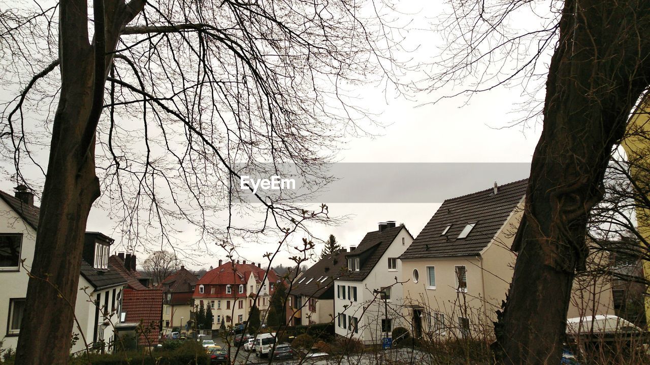 LOW ANGLE VIEW OF BARE TREE AND BUILDINGS AGAINST SKY