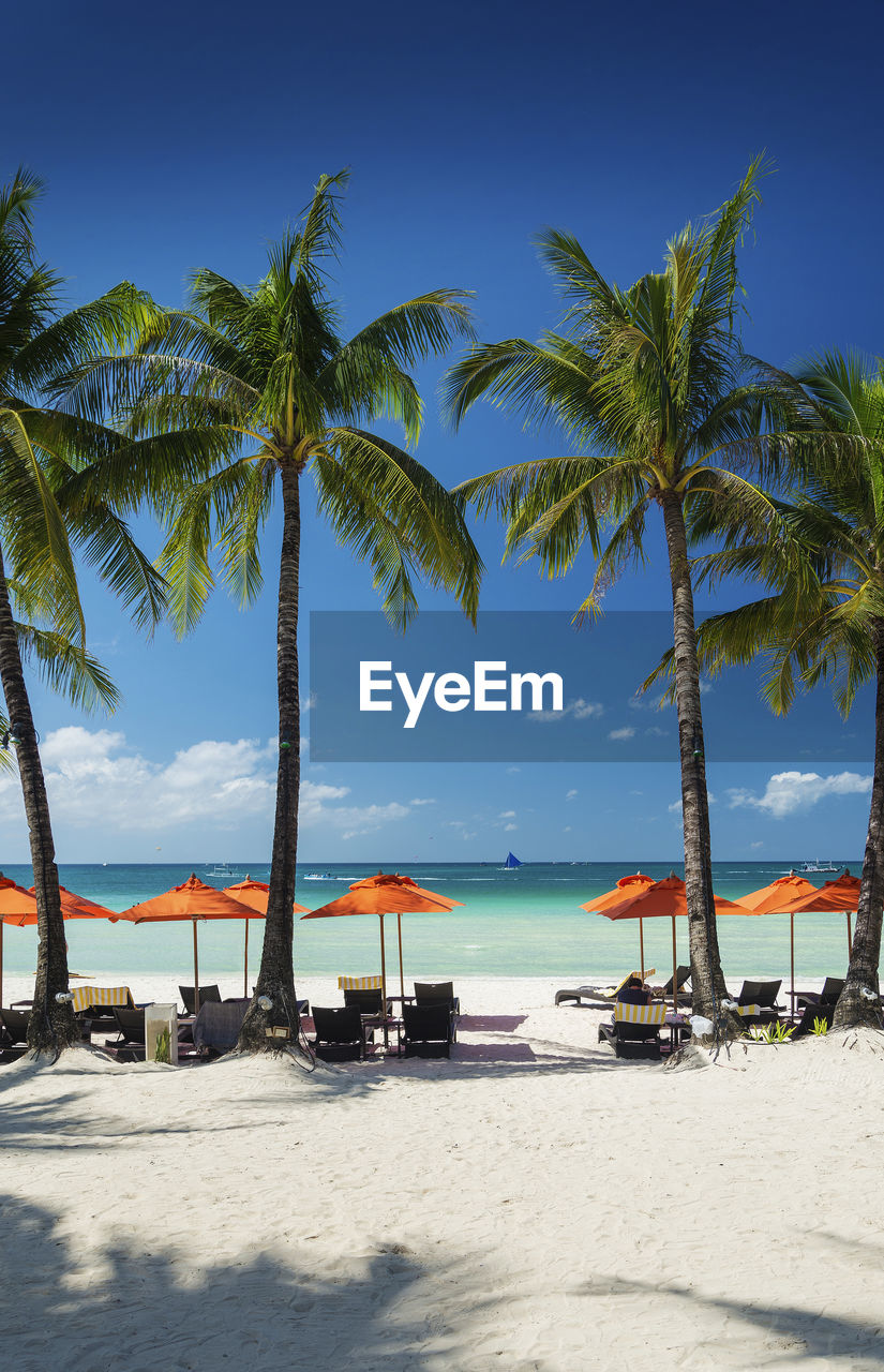 Palm trees at beach against sky