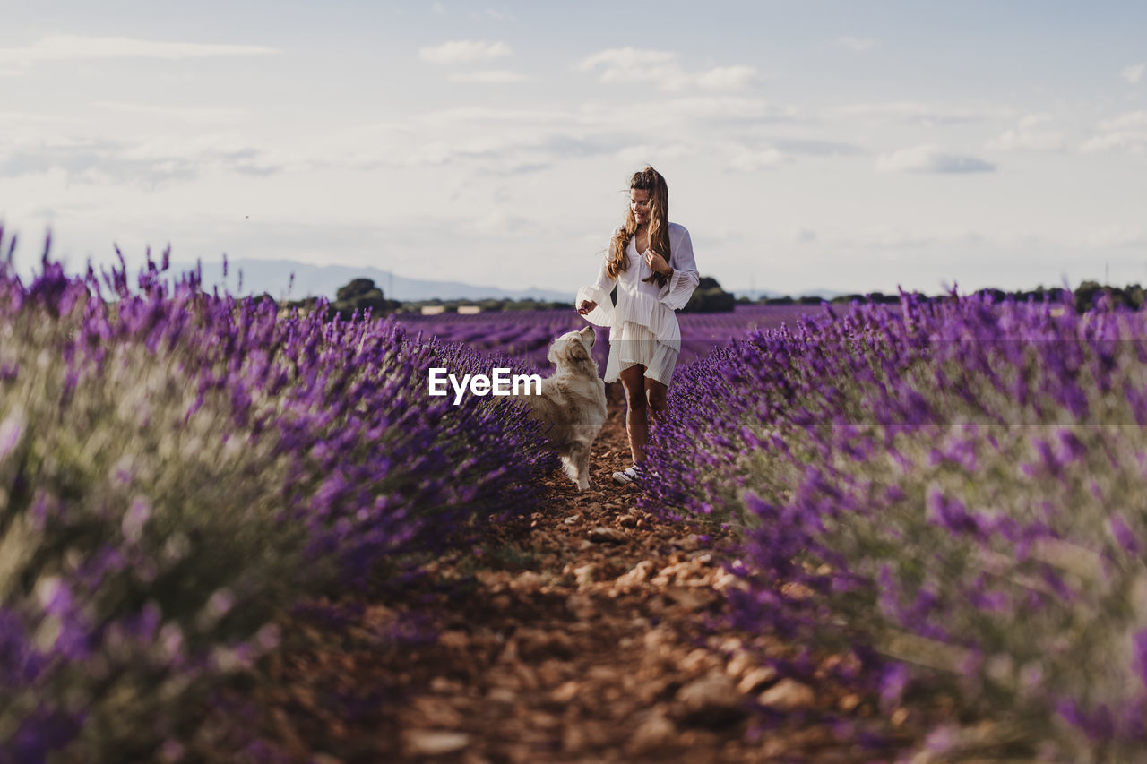 Woman with dog by purple flowering plants on land