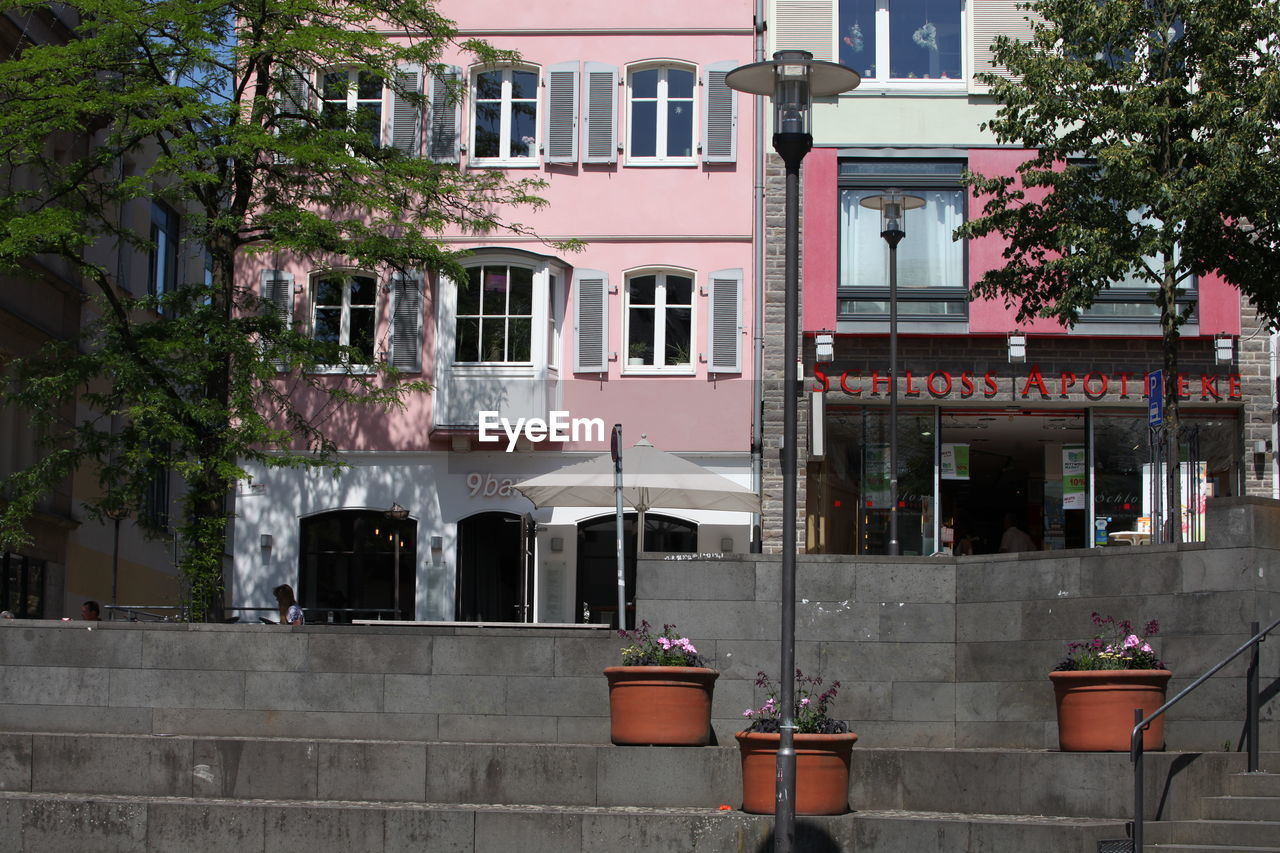 POTTED PLANTS ON STREET AGAINST BUILDING