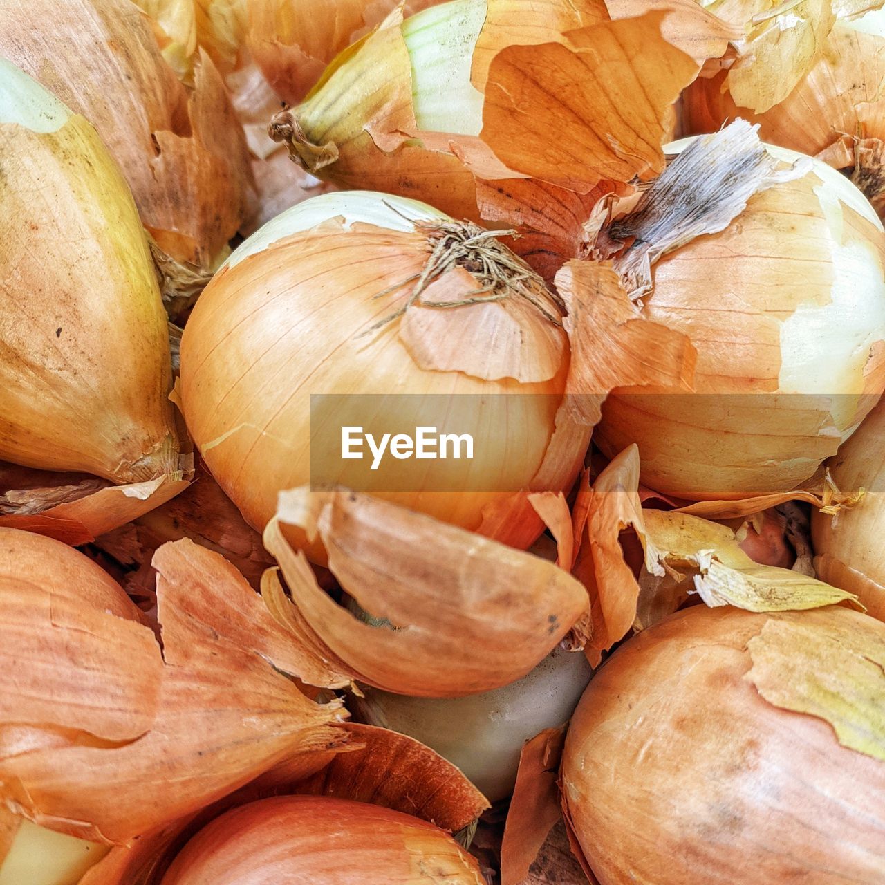 Full frame shot of onions for sale