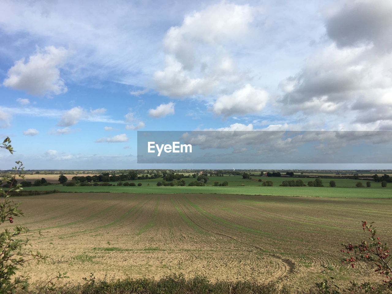 FIELD AGAINST CLOUDY SKY