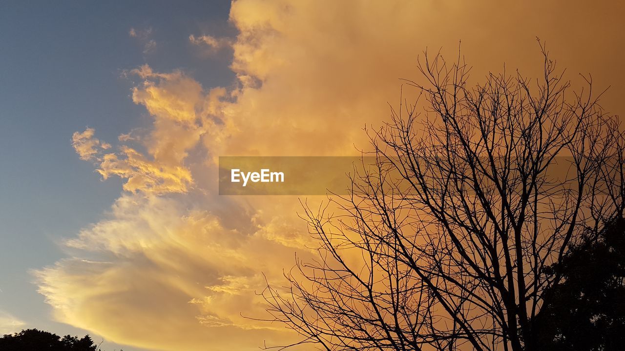 LOW ANGLE VIEW OF SILHOUETTE BARE TREE AGAINST SKY DURING SUNSET