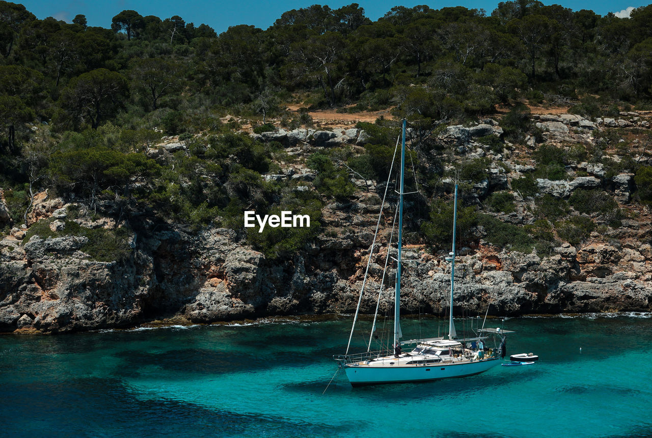 Sailboats in sea against trees