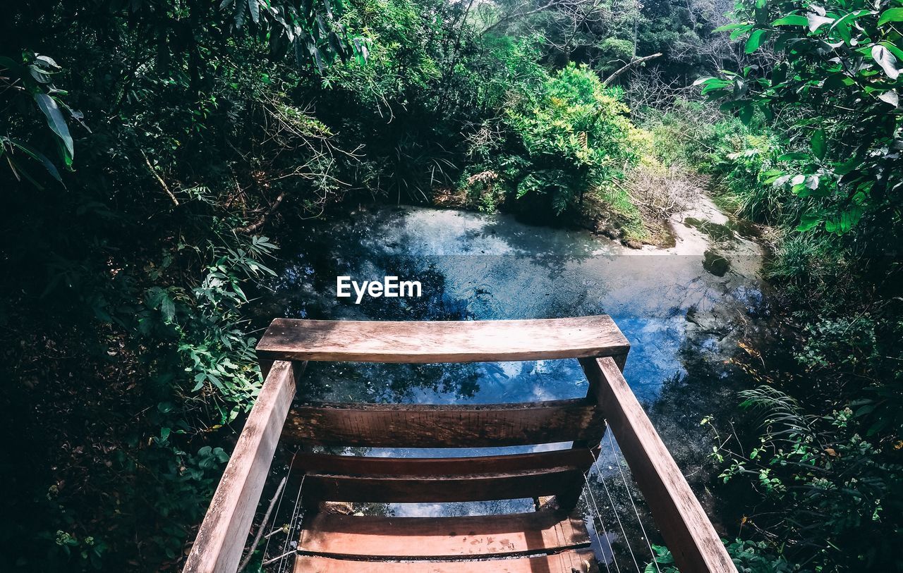 STAIRCASE IN THE FOREST