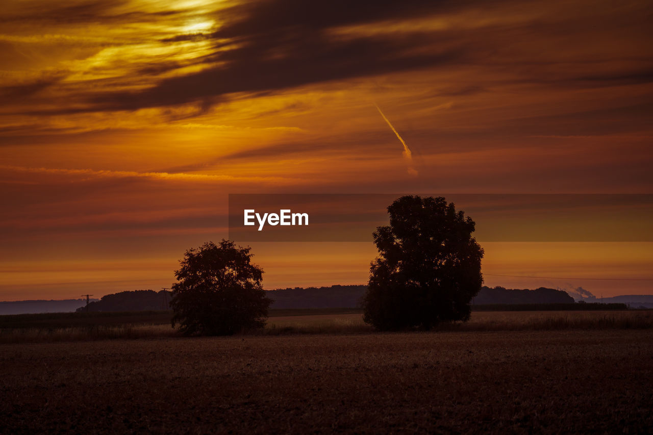 sky, cloud, horizon, sunset, plant, beauty in nature, scenics - nature, dawn, landscape, nature, tranquility, tranquil scene, tree, land, environment, evening, silhouette, no people, orange color, afterglow, field, sun, dramatic sky, idyllic, rural scene, outdoors, growth, sunlight, non-urban scene, agriculture