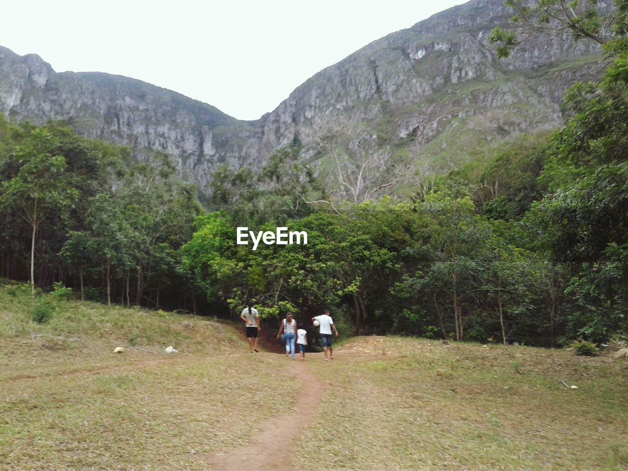 PEOPLE WALKING ON ROAD AMIDST TREES