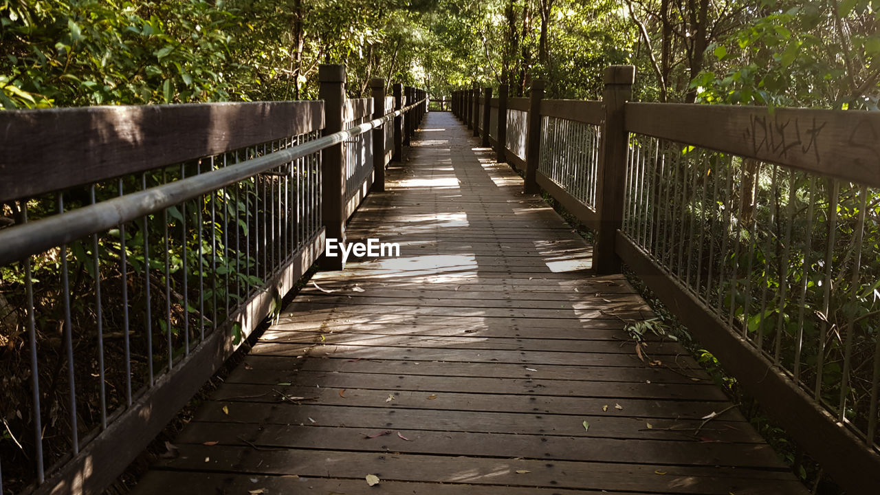 WOODEN FOOTBRIDGE ALONG PLANTS