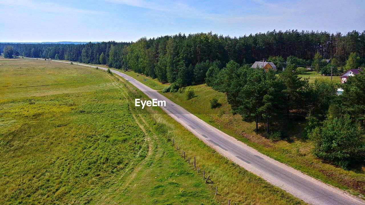 ROAD AMIDST TREES IN FOREST