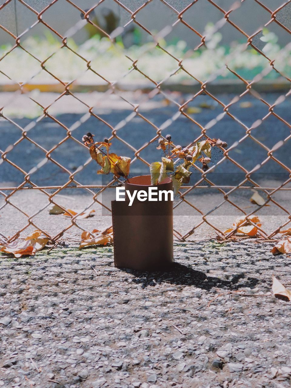 Close-up of chainlink fence