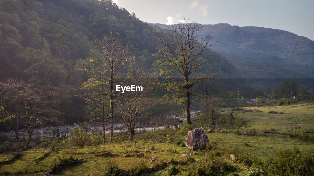 Countryside view near stream and mountain