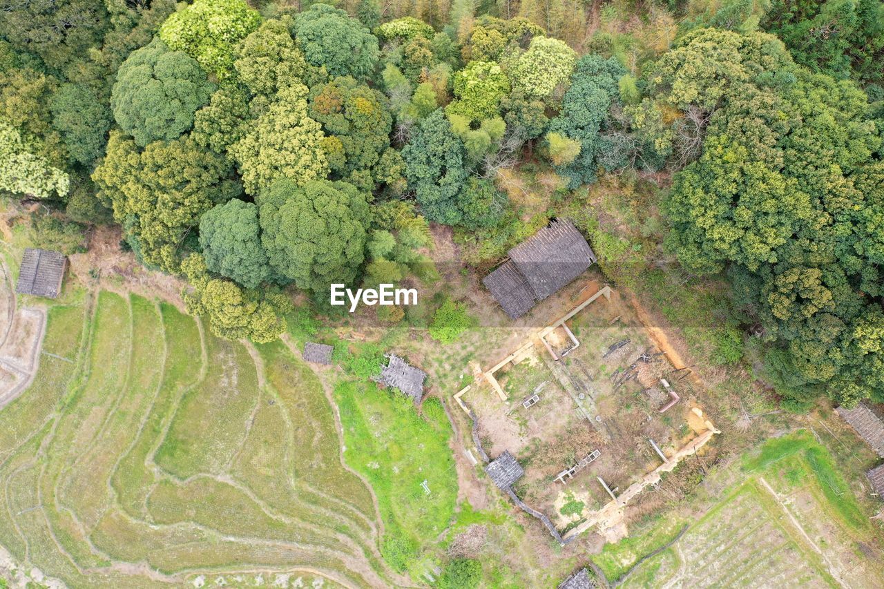 plant, landscape, high angle view, green, agriculture, aerial photography, growth, field, rural scene, land, bird's-eye view, aerial view, environment, no people, nature, day, scenics - nature, tree, farm, beauty in nature, crop, outdoors, soil, tranquility, architecture, food and drink, tranquil scene, plantation, food