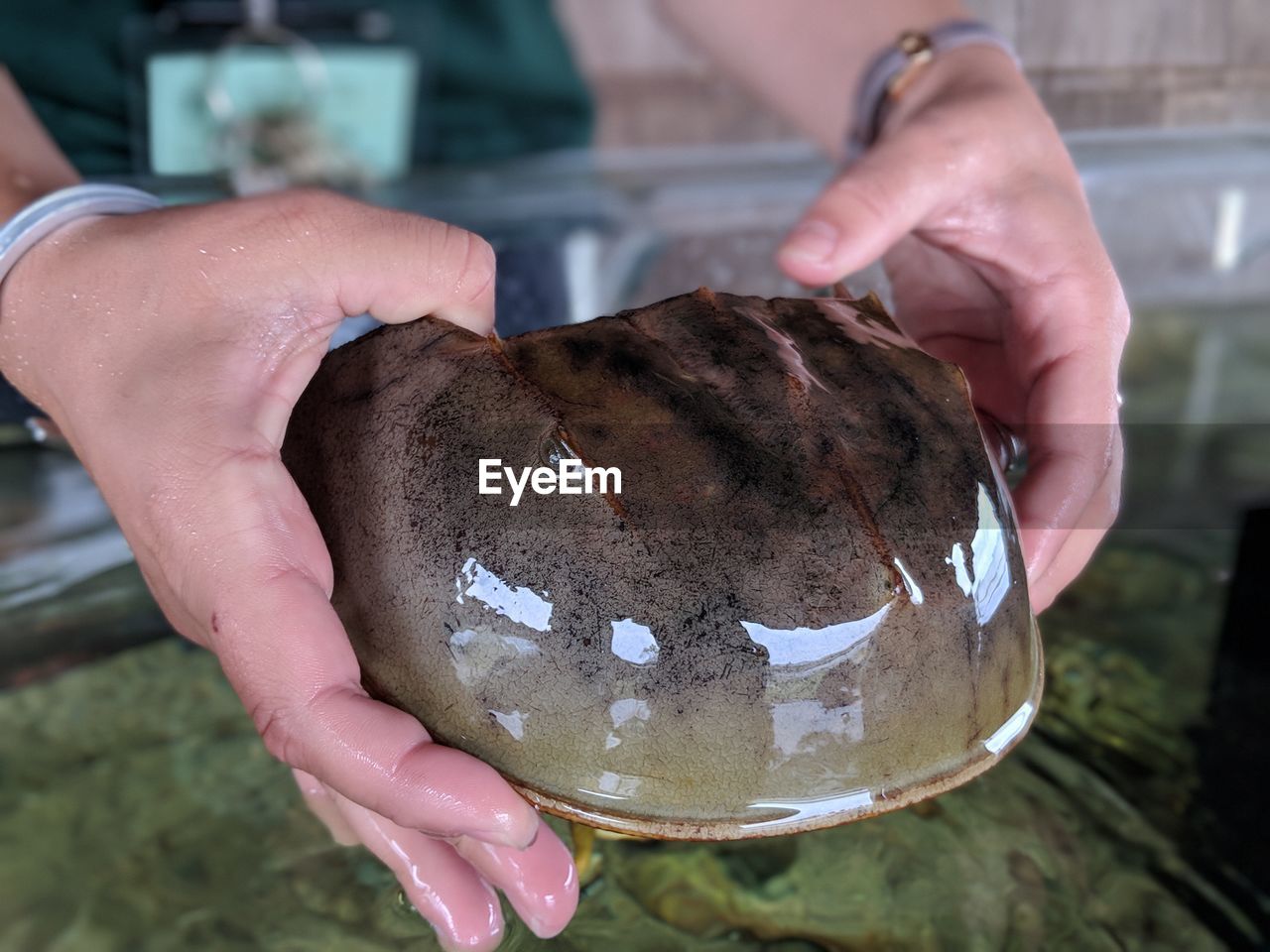 Midsection of man holding fish