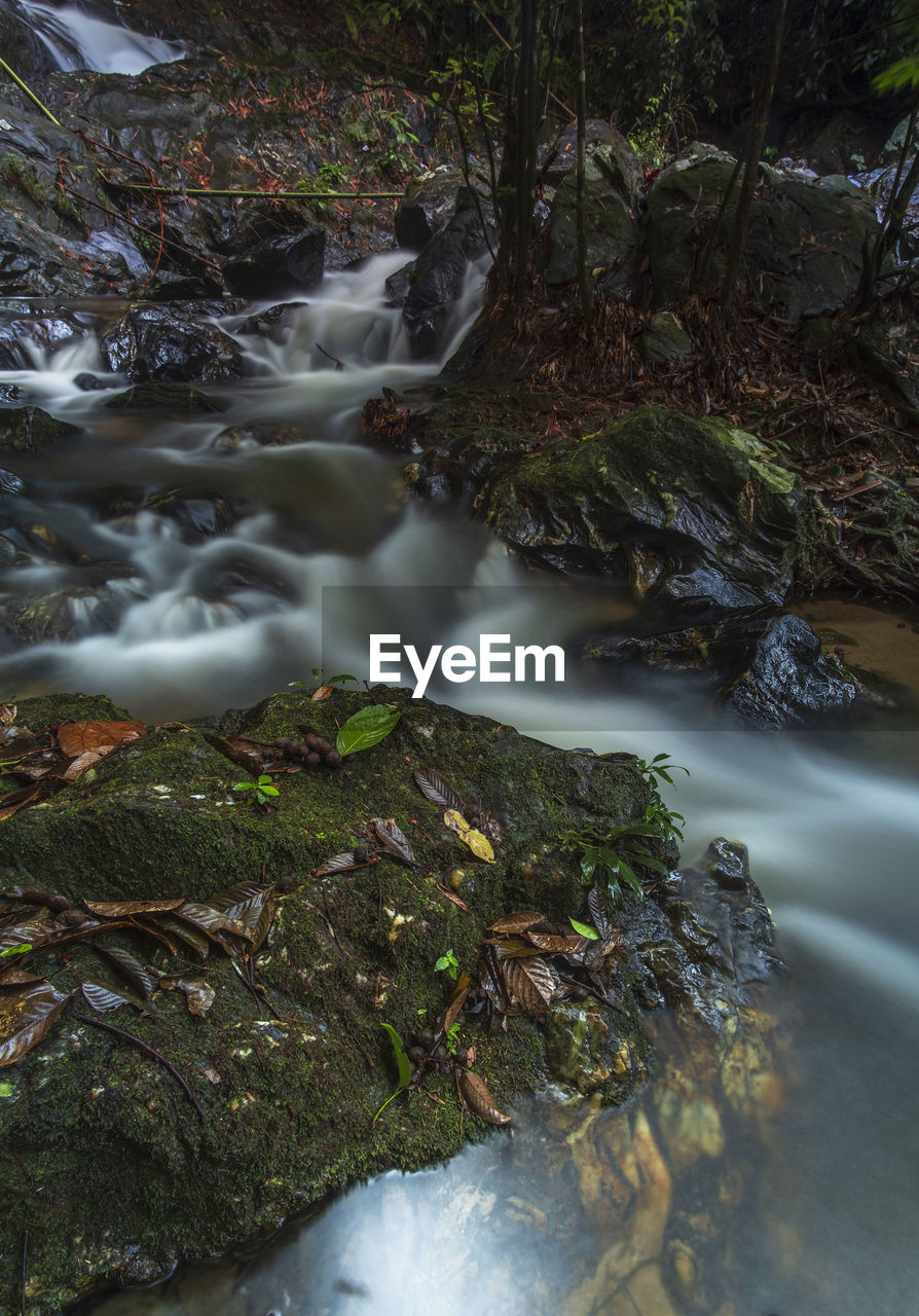 Stream flowing through rocks in forest