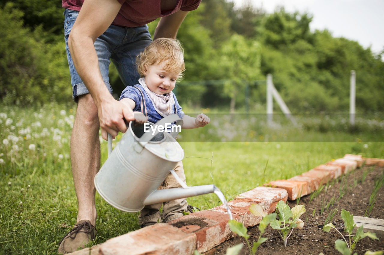 Father with his little son in the garden watering seedlings