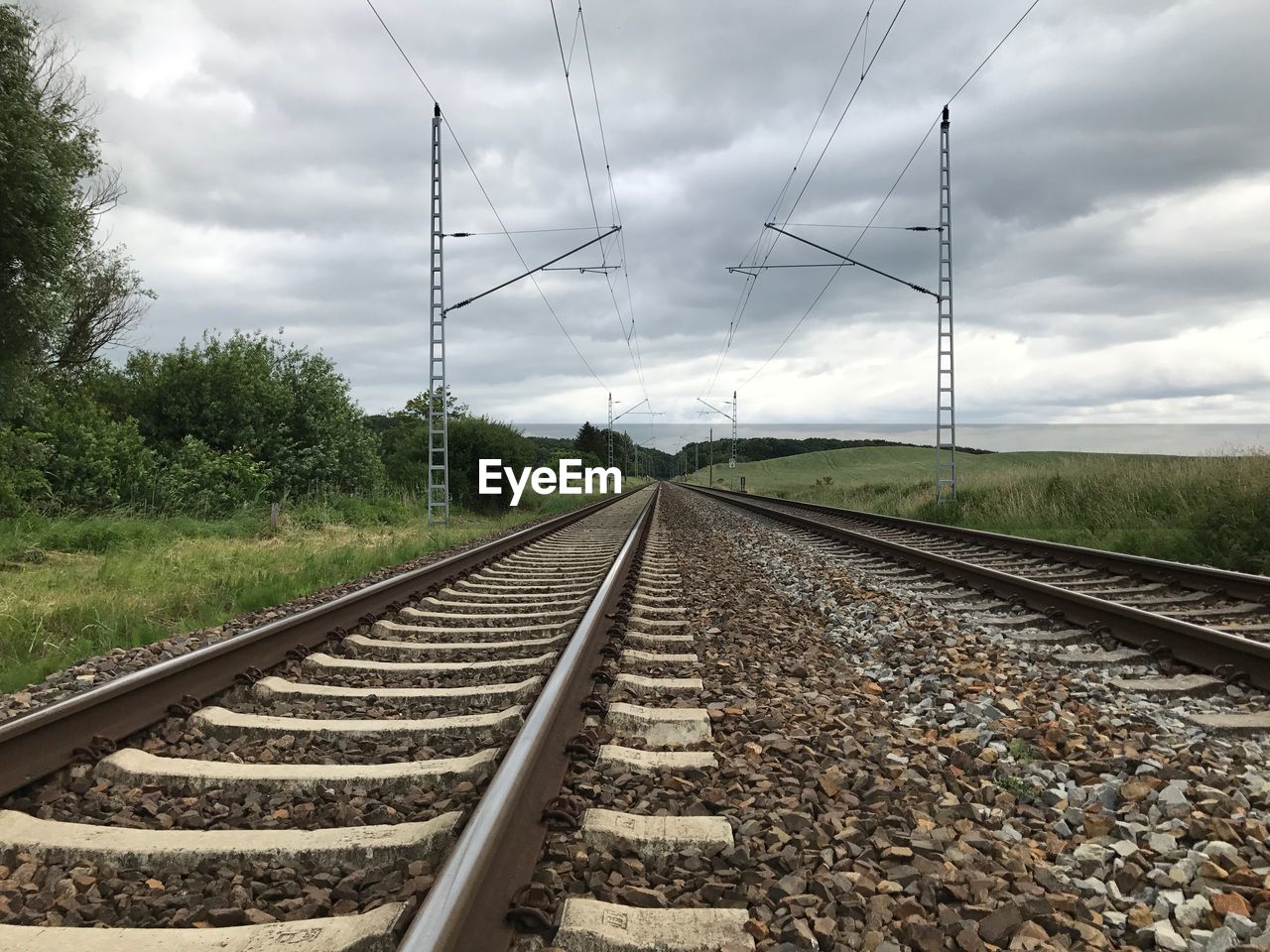 Railroad track amidst trees against sky