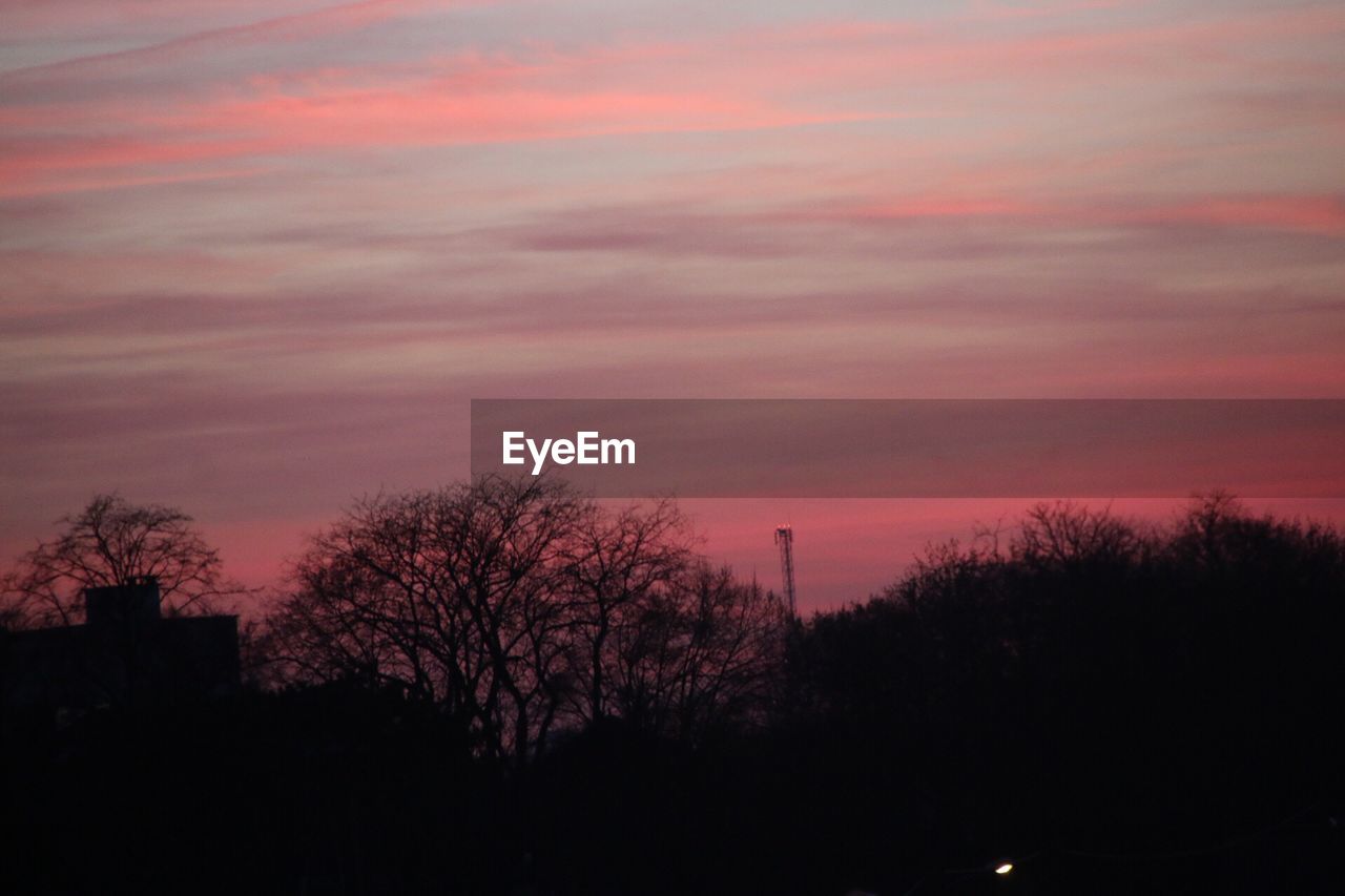 SILHOUETTE OF TREES AGAINST ROMANTIC SKY AT SUNSET