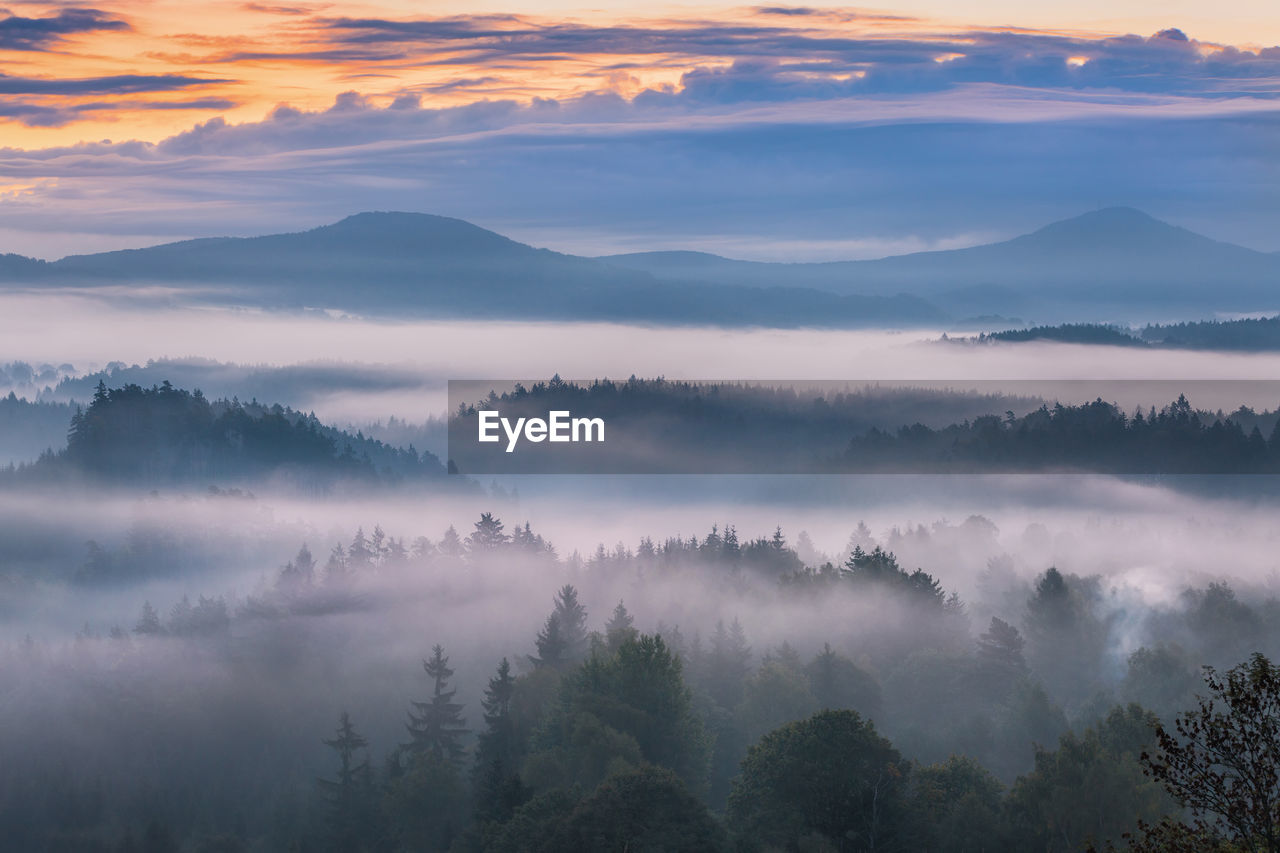 Panoramic shot of trees and mountains against sky during sunset